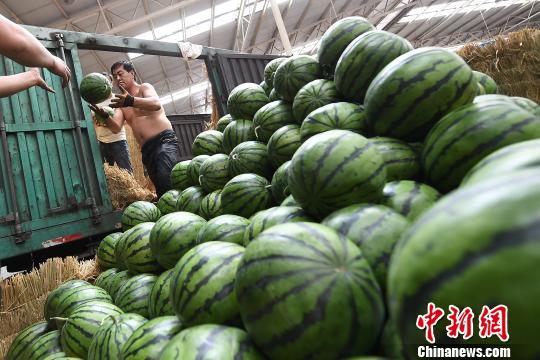 一个西瓜上百元 水果价格上涨韩国人大呼“吃不起”